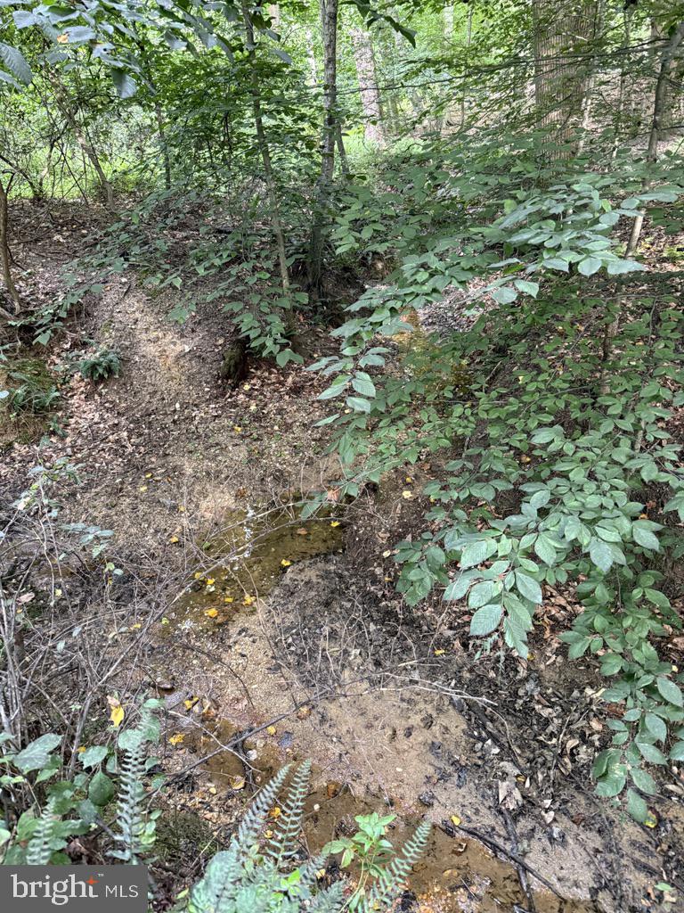 Waibel Rd Port Port Deposit, MD 21904 - Photo 15 of 22 a view of a forest with a tree