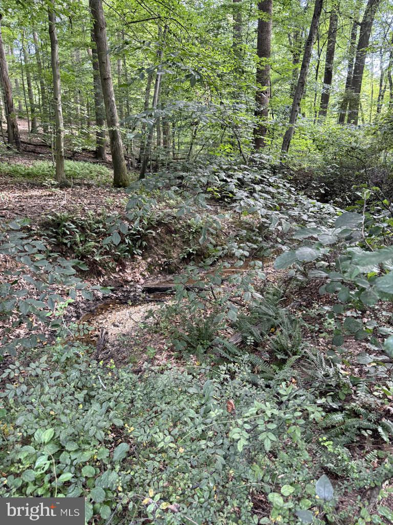 Waibel Rd Port Port Deposit, MD 21904 - Photo 16 of 22 a view of a large yard with lots of green space