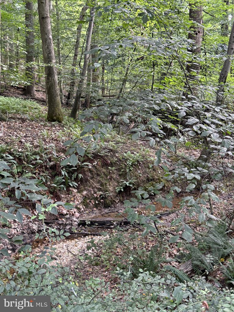 Waibel Rd Port Port Deposit, MD 21904 - Photo 4 of 22 a view of a yard with a tree