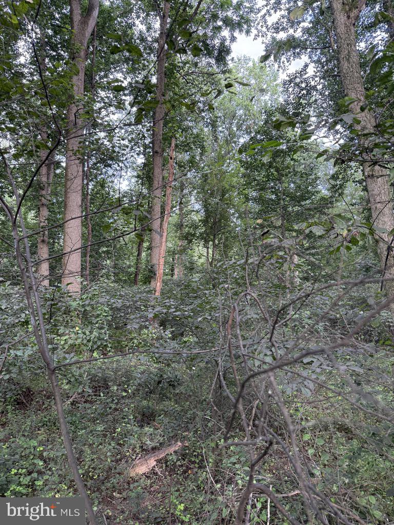 Waibel Rd Port Port Deposit, MD 21904 - Photo 8 of 22 a aerial view of a house with lots of trees