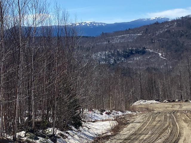 Lot 16 Eagle Ridge Road Kingfield, ME 04947 - Photo 2 of 7 IMG_6975