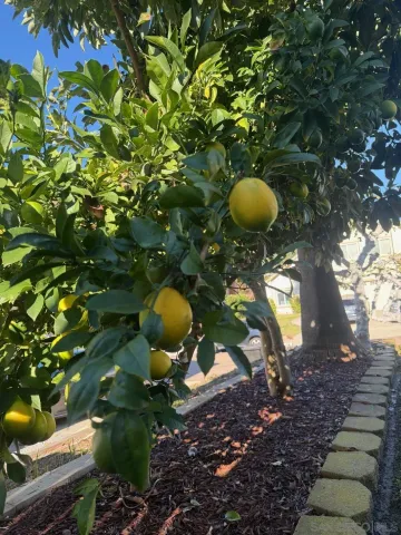 $5,380 | 9569 Via Pereza, San Diego, CA 92129