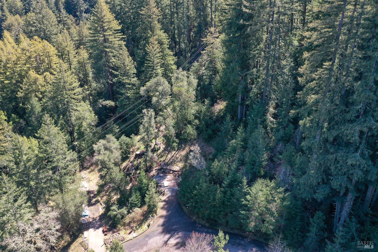 9 Meadow View Lane San Geronimo, CA 94963 - Photo 5 of 7 a view of a forest with a tree