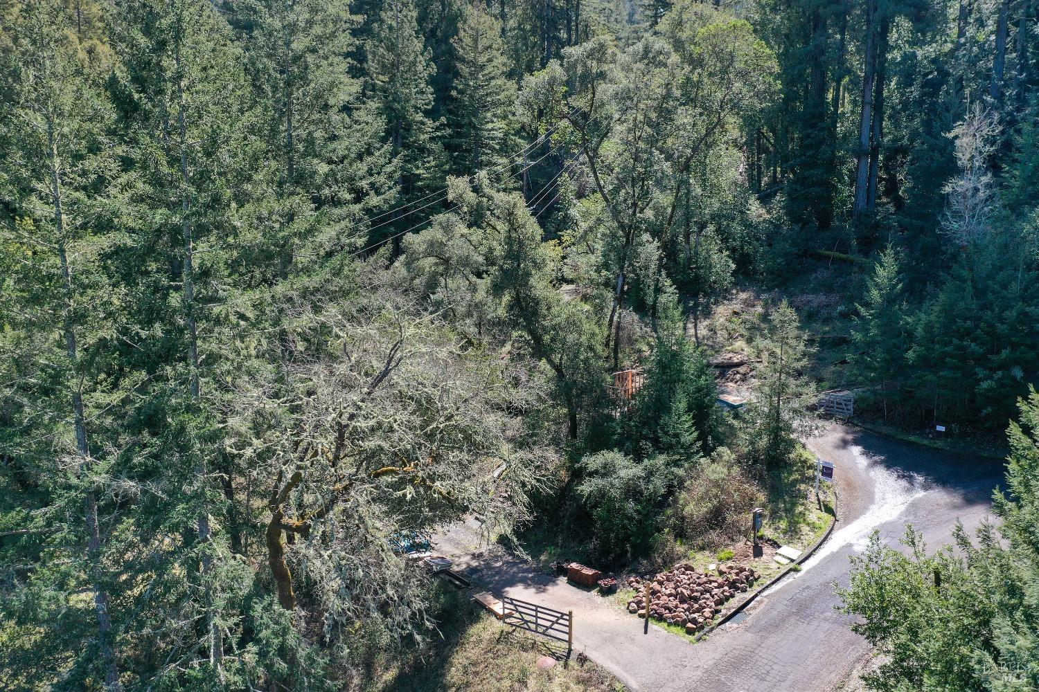 9 Meadow View Lane San Geronimo, CA 94963 - Photo 6 of 7 an aerial view of residential house with outdoor space and trees all around