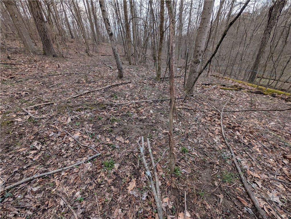 39000 Lees Run Road Cadiz, OH 43907 - Photo 41 of 49