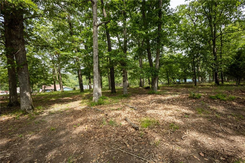 28887 Mortensen Road Lincoln, MO 65338 - Photo 32 of 59