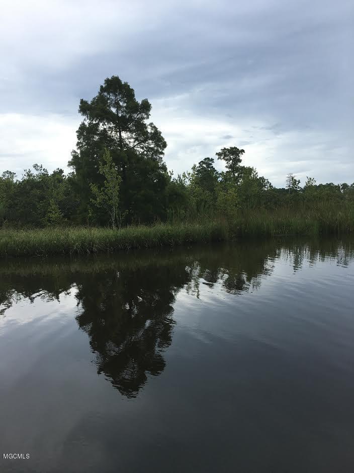 0 None Road Kiln, MS 39556 - Photo 3 of 4 31 acres3