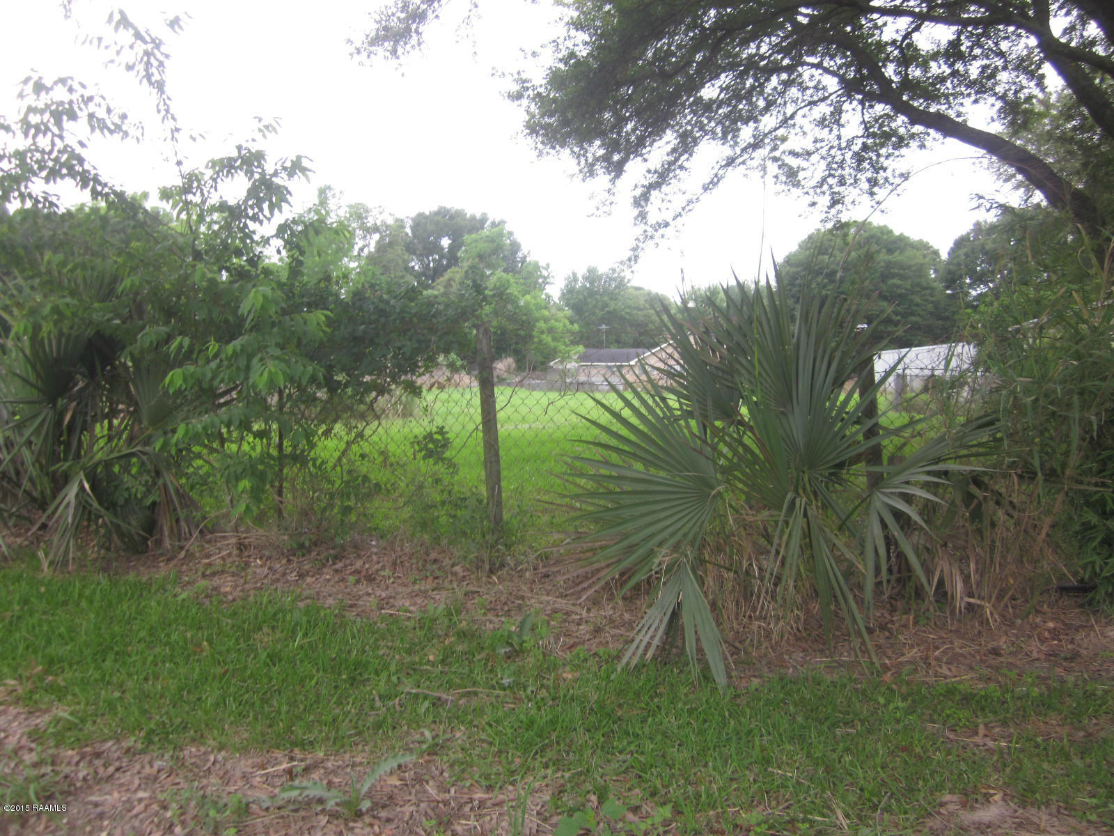 360 Richard Road Opelousas, LA 70570 - Photo 14 of 14 Pasture on 360 Richard Road