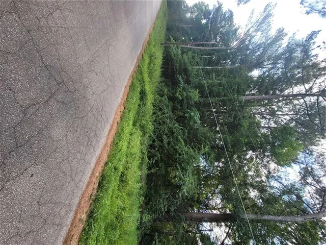 a backyard of a house with lots of green space