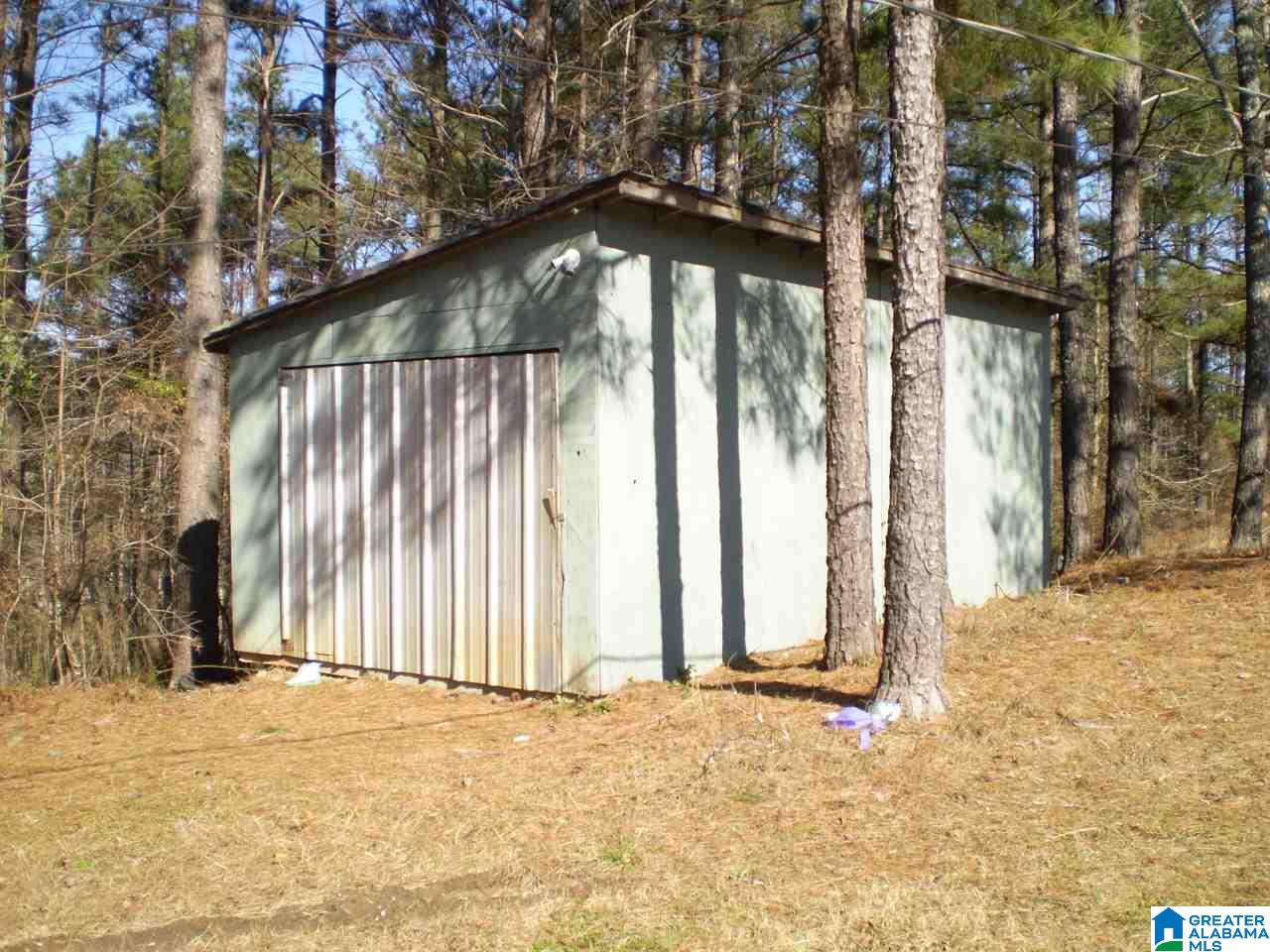 170 Pine Ridge Lane, Unit TRACT A Pell City, AL 35125 - Photo 3 of 15