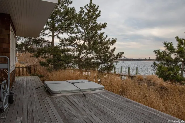a view of roof deck with two couches and a potted plant on a wooden floor