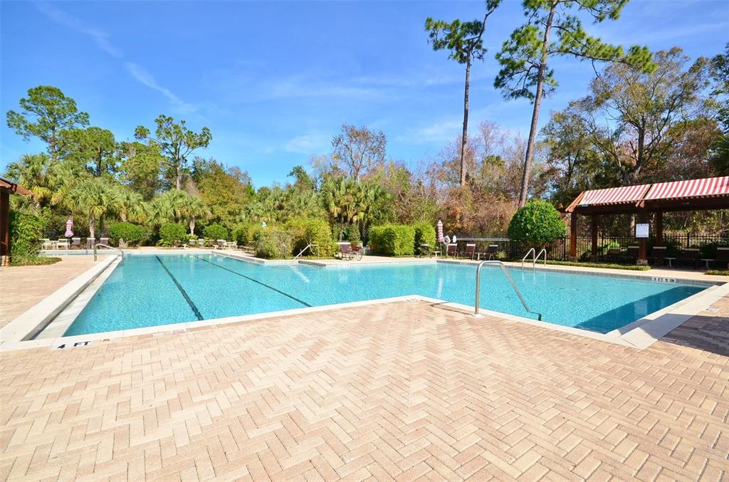 1400 Celebration Avenue, Unit 305 Celebration, FL 34747 - Photo 38 of 38 a view of swimming pool with a yard