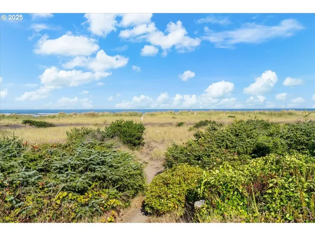 a view of an ocean from a yard