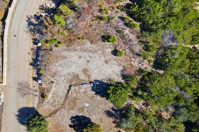 a plant with lots of flowers
