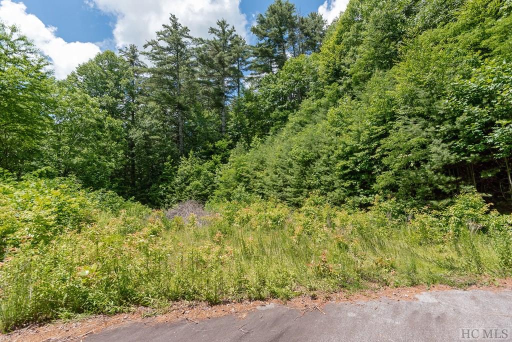 102 West Marlett Road Cullowhee, NC 28723 - Photo 7 of 22 Gallery Image 7