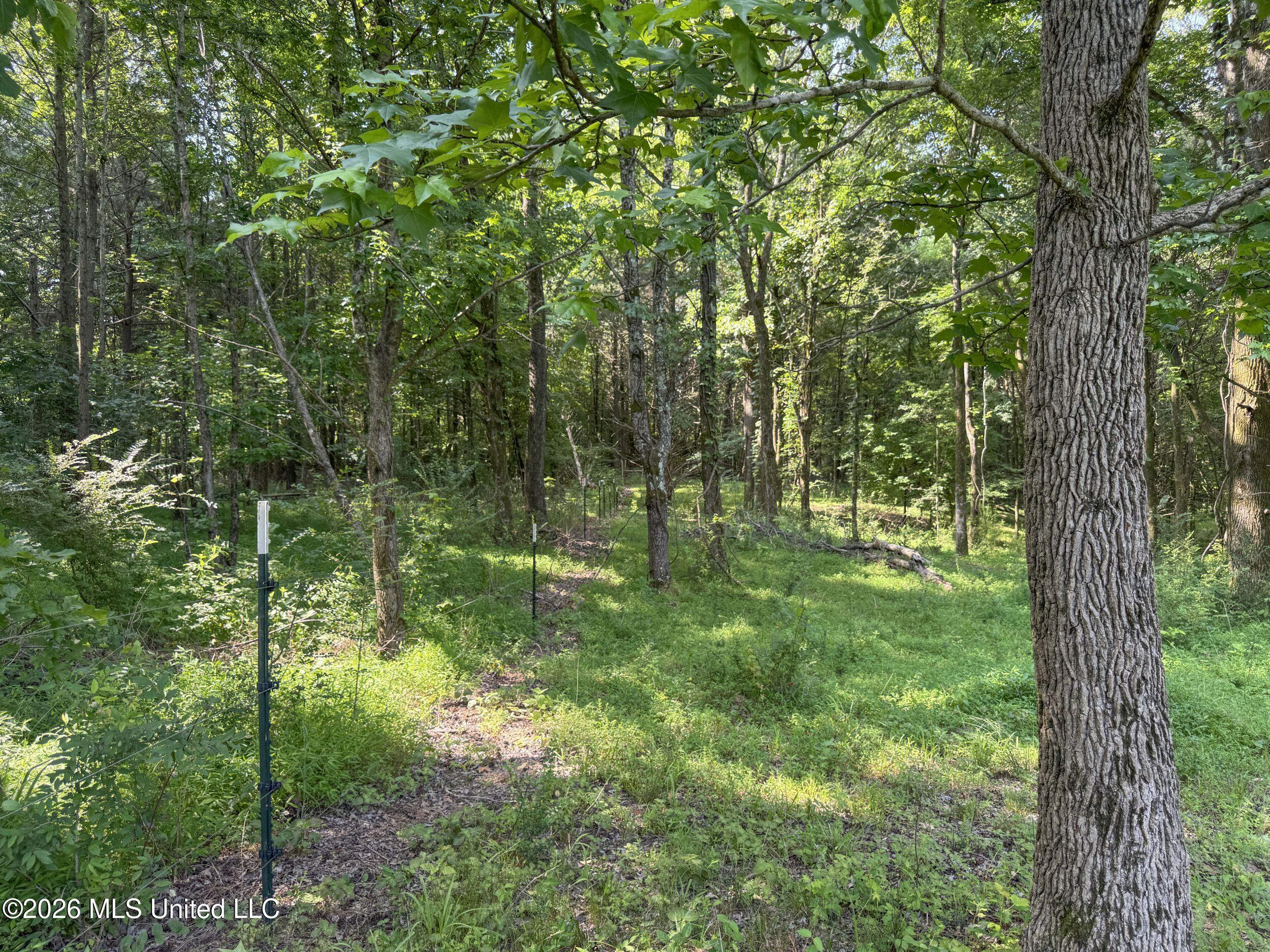 2169 Slocum Road Hernando, MS 38632 - Photo 68 of 94 8slcm27