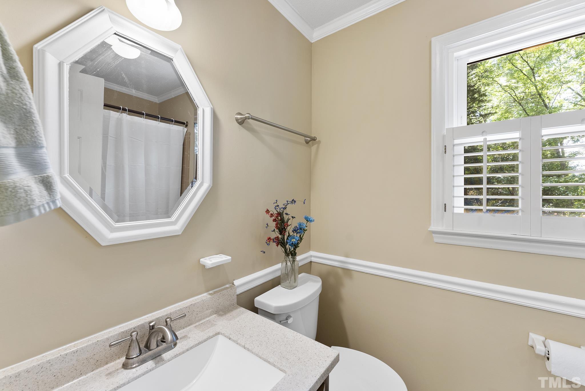 4205 Pleasant Grove Church Road Raleigh, NC 27613 - Photo 19 of 34 a bathroom with a sink a mirror a toilet and a window