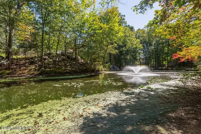 a view of a tree with a yard