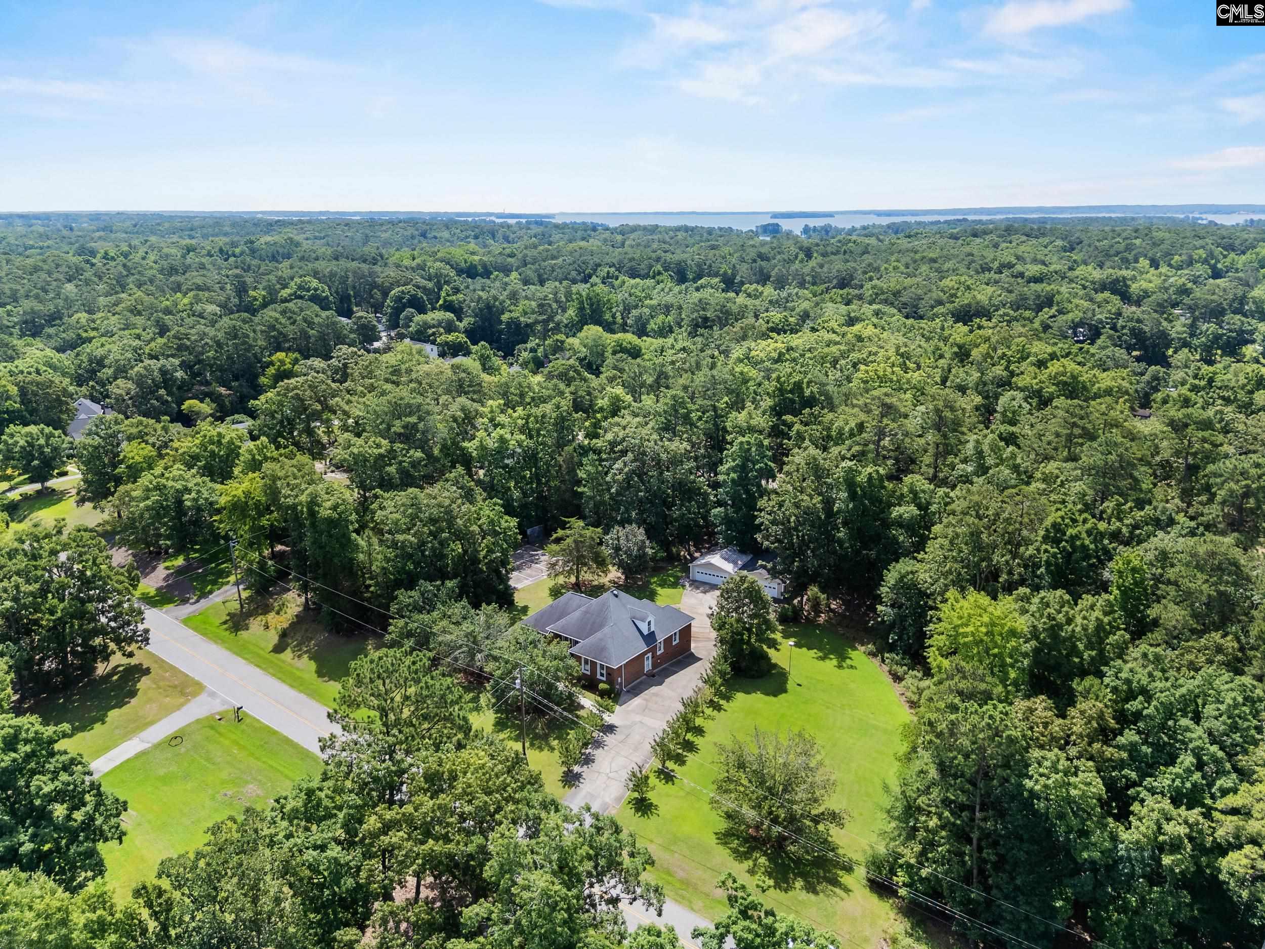 143 Killian Point Circle Chapin, SC 29036 - Photo 45 of 46