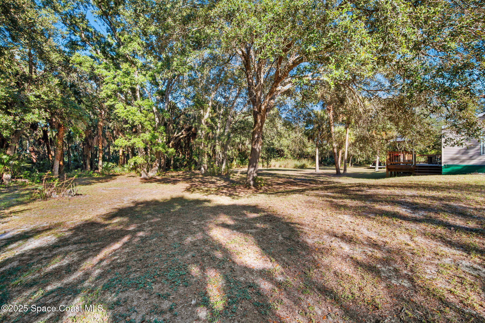 6672 Bear Trail Cocoa, FL 32926 - Photo 31 of 46 a view of road with trees