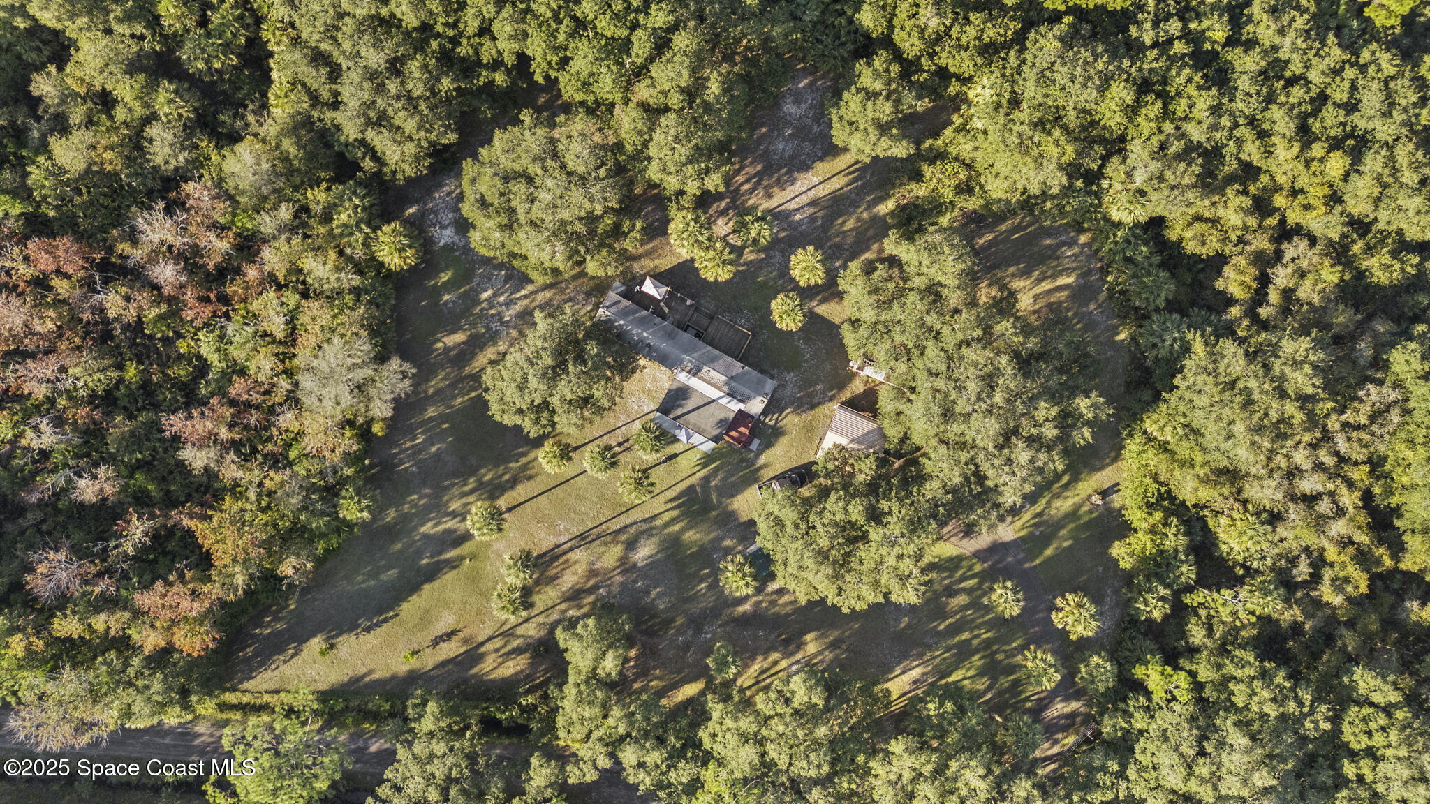 6672 Bear Trail Cocoa, FL 32926 - Photo 39 of 46 a view of tree