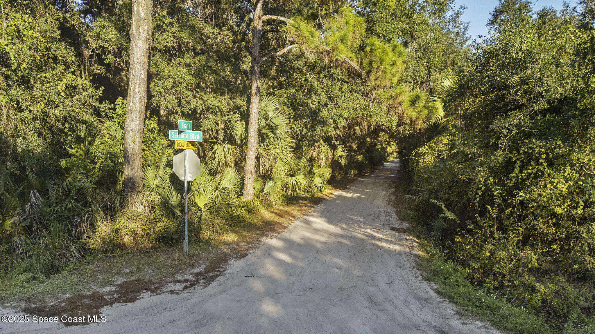 6672 Bear Trail Cocoa, FL 32926 - Photo 40 of 46 a view of a yard with plants and trees