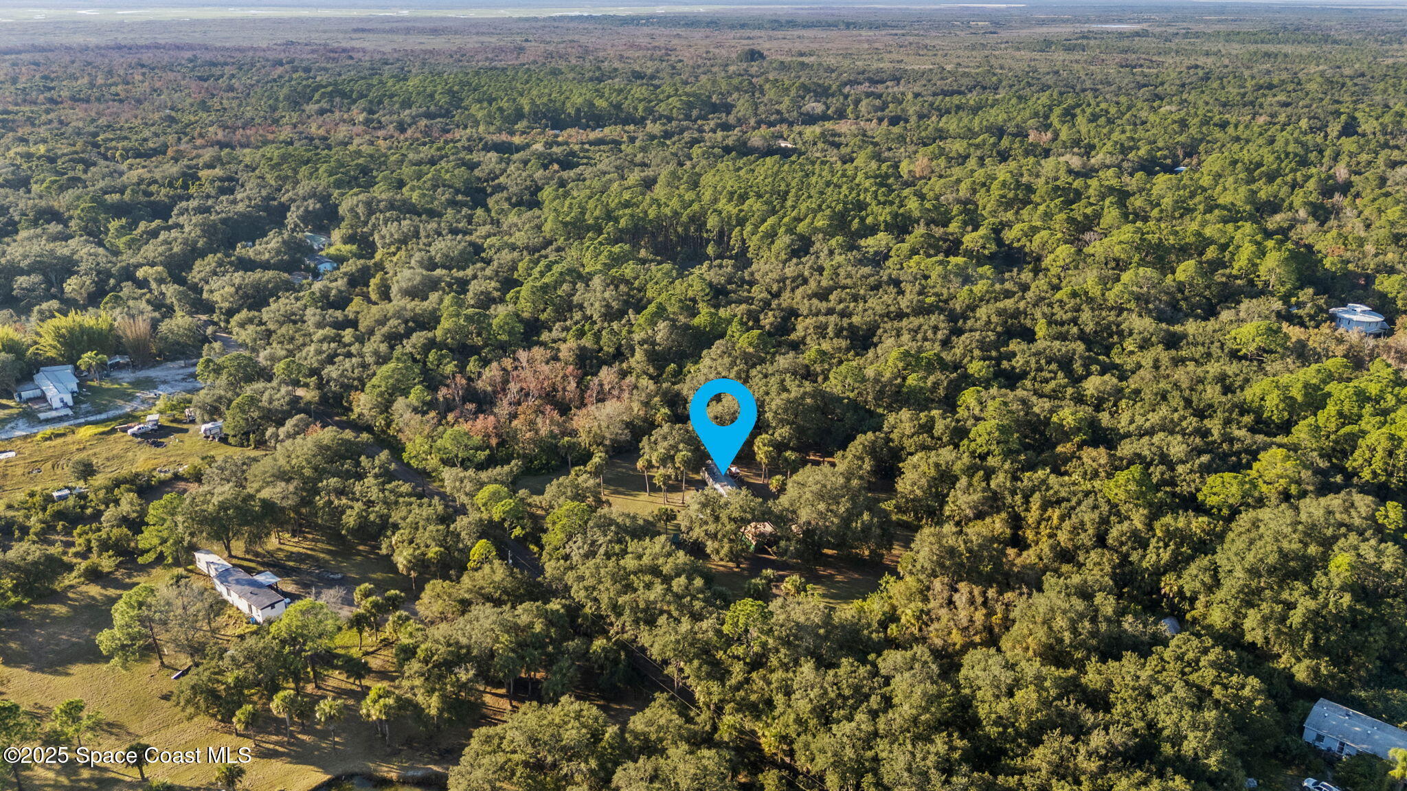 6672 Bear Trail Cocoa, FL 32926 - Photo 44 of 46 a view of a field with lots of plants