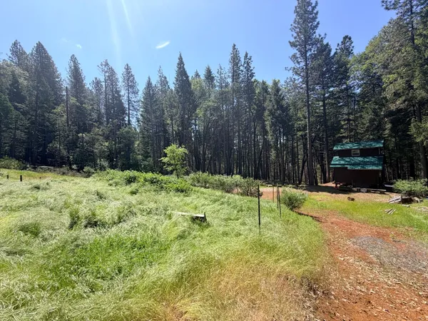 $175,000 | 0 Roaring Ridge Road, Montgomery Creek, CA 96065