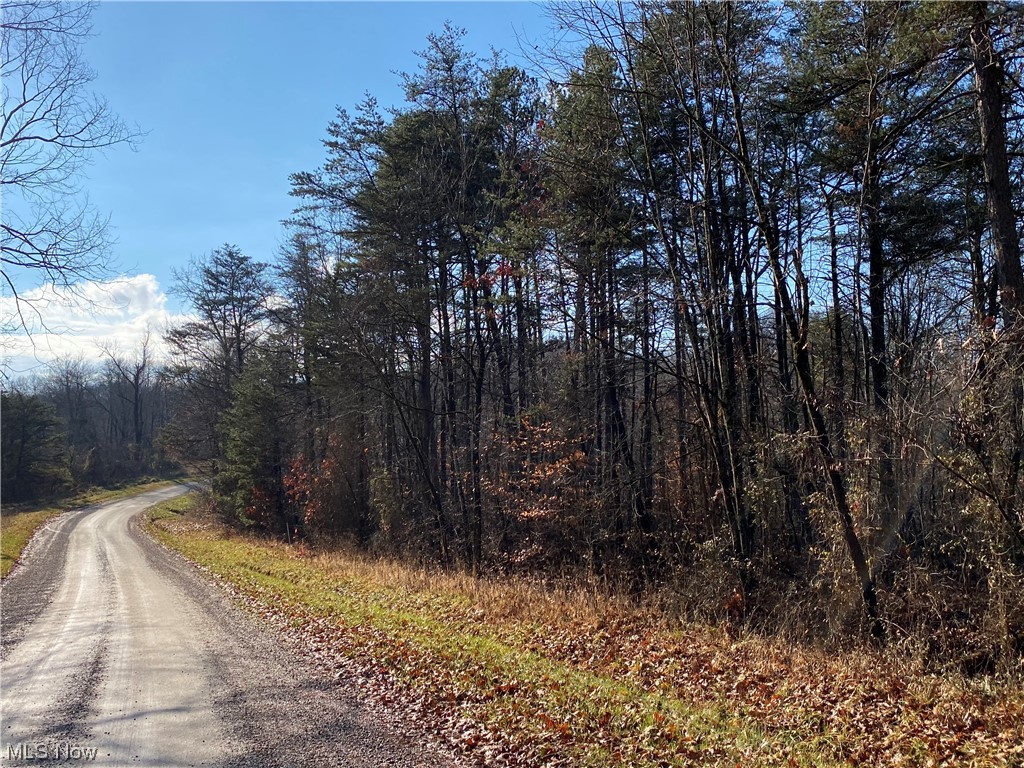 0 Shay Ridge Road New Matamoras, OH 45767 - Photo 29 of 29 View of road