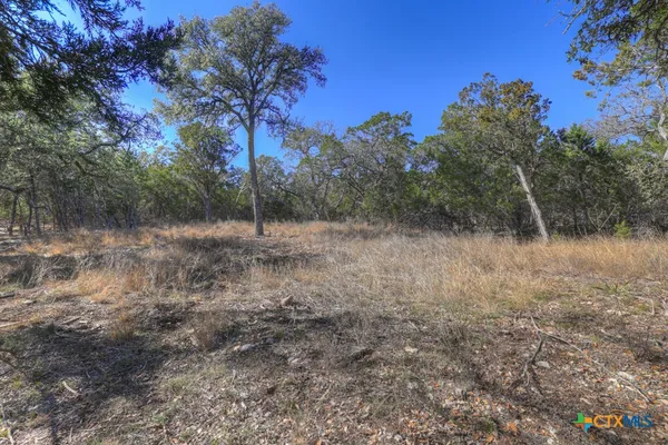 a view of a dry yard with trees