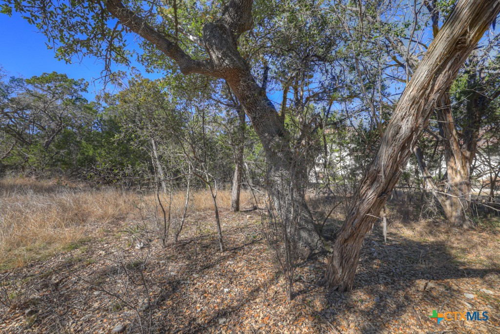 0 Landmark Ridge Boerne, TX 78006 - Photo 8 of 15 more of the clearing