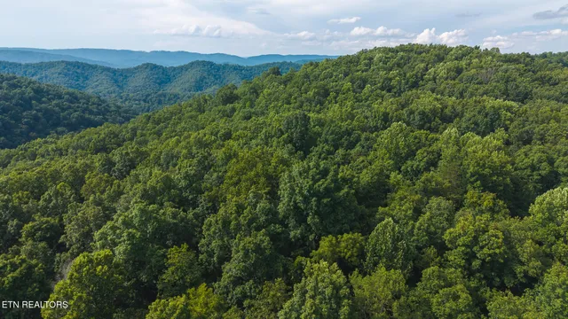 $99,900 | 0 Gravely Valley Road, Eidson, TN 37731