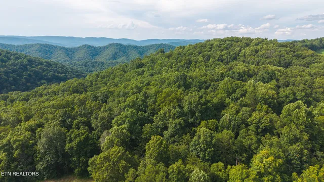 $99,900 | 0 Gravely Valley Road, Eidson, TN 37731