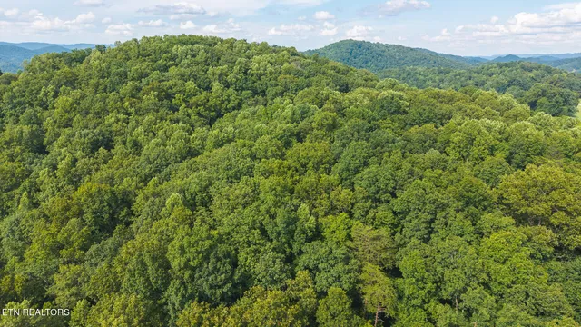 $99,900 | 0 Gravely Valley Road, Eidson, TN 37731