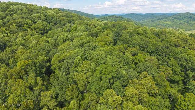 $99,900 | 0 Gravely Valley Road, Eidson, TN 37731