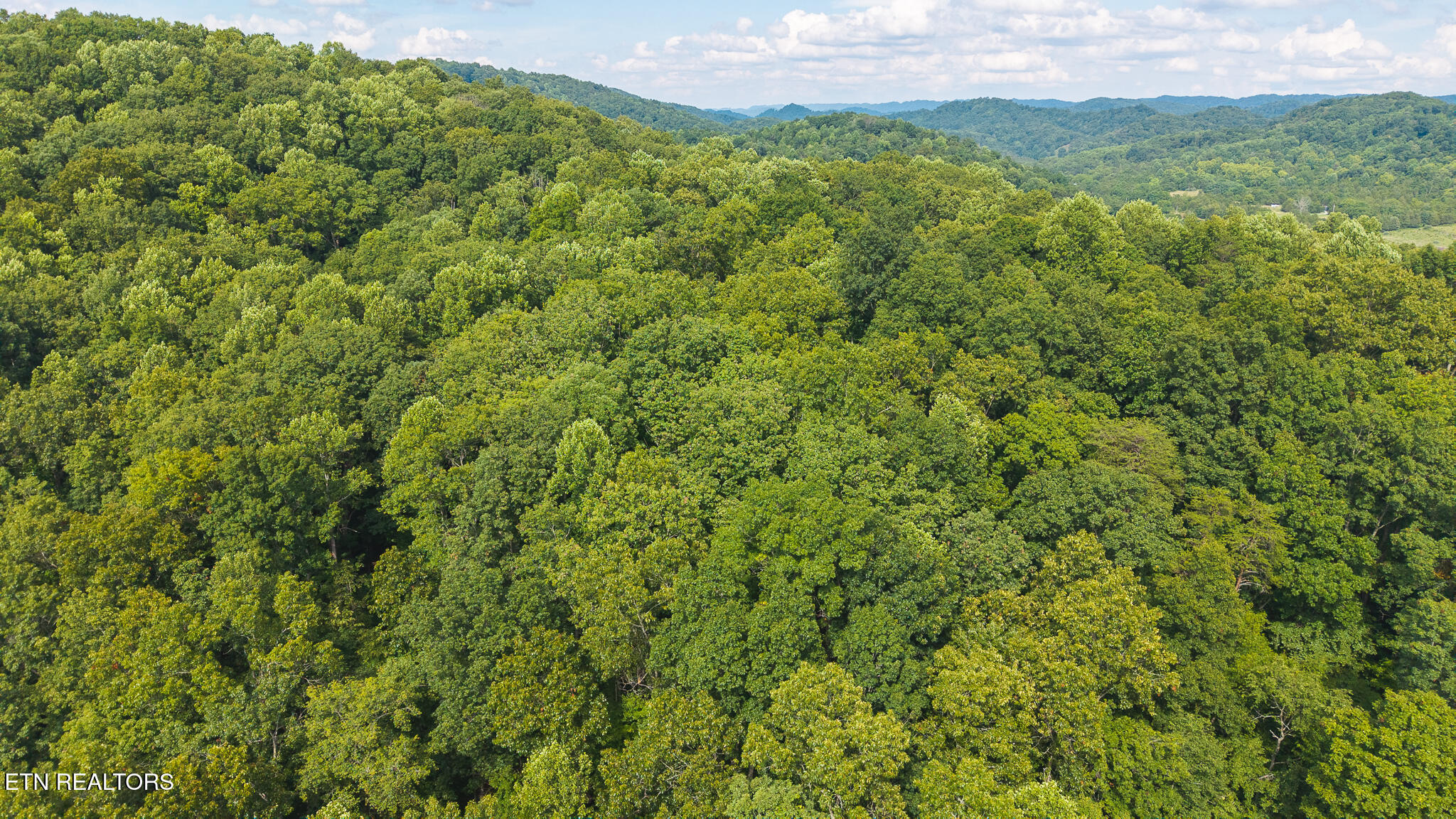 0 Gravely Valley Road Eidson, TN 37731 - Photo 13 of 36 DJI_20250716171326_0760_D