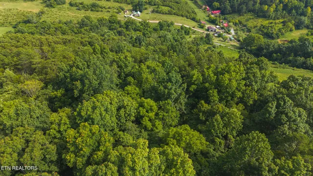 $99,900 | 0 Gravely Valley Road, Eidson, TN 37731