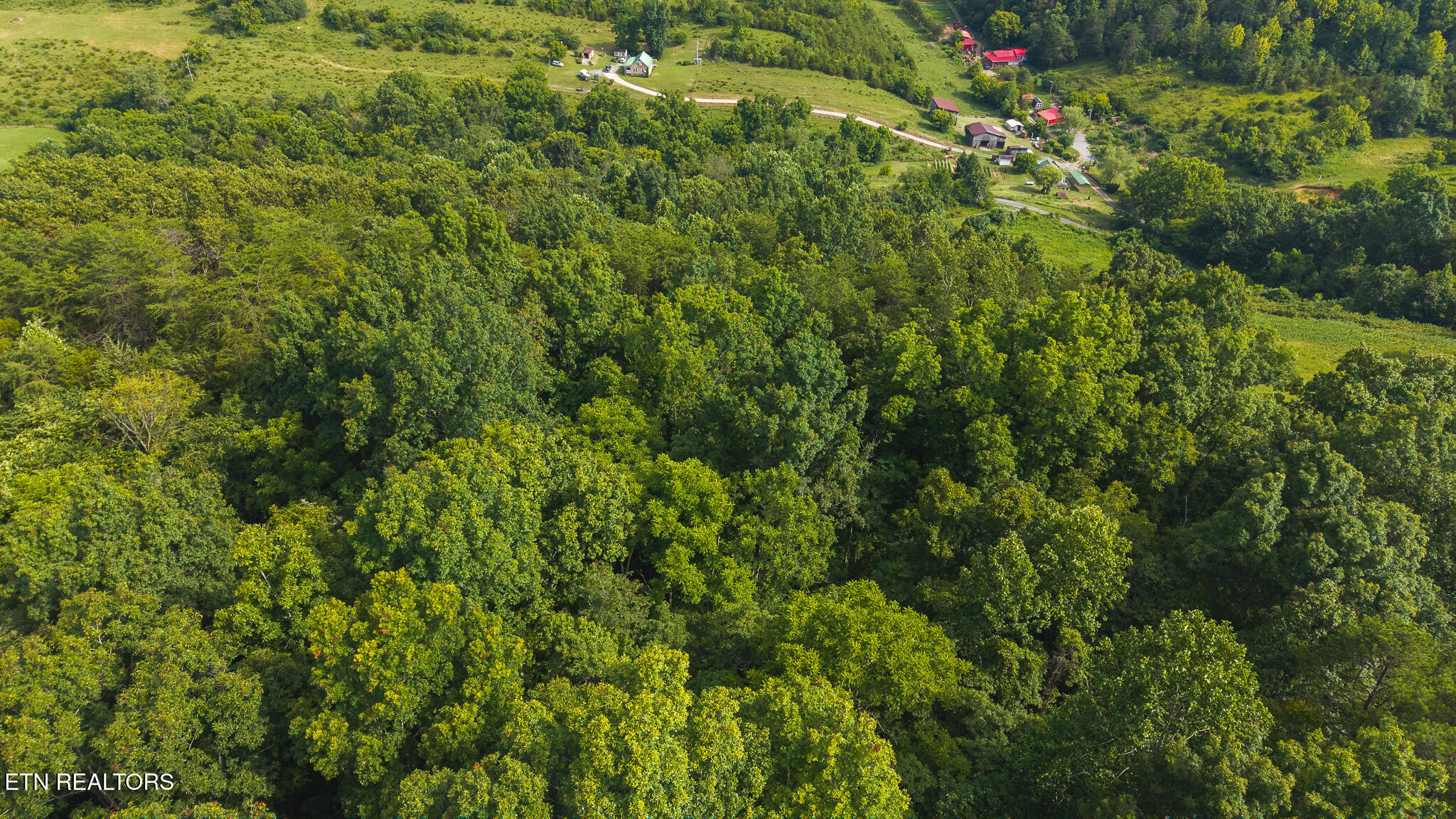 0 Gravely Valley Road Eidson, TN 37731 - Photo 15 of 36 DJI_20250716171411_0763_D