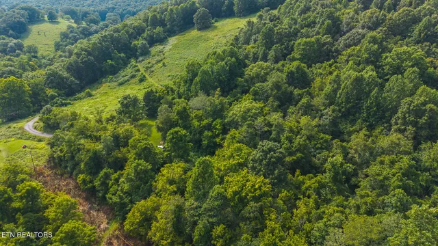 $99,900 | 0 Gravely Valley Road, Eidson, TN 37731