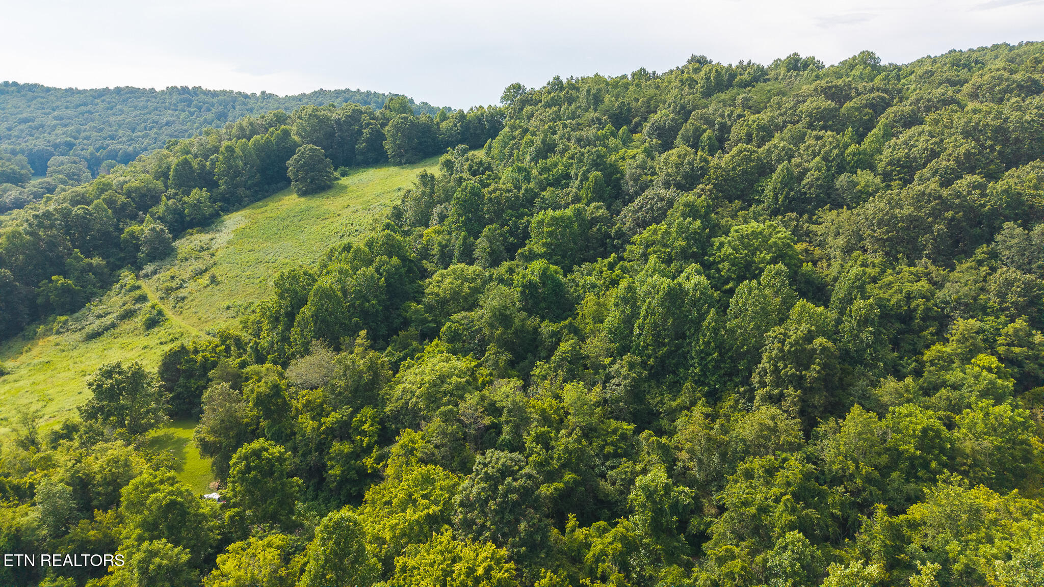 0 Gravely Valley Road Eidson, TN 37731 - Photo 19 of 36 DJI_20250716171514_0768_D