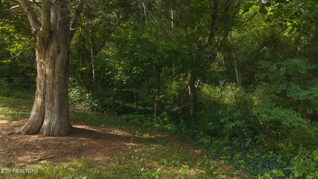 $99,900 | 0 Gravely Valley Road, Eidson, TN 37731