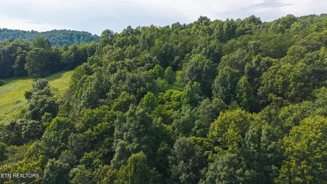 $99,900 | 0 Gravely Valley Road, Eidson, TN 37731