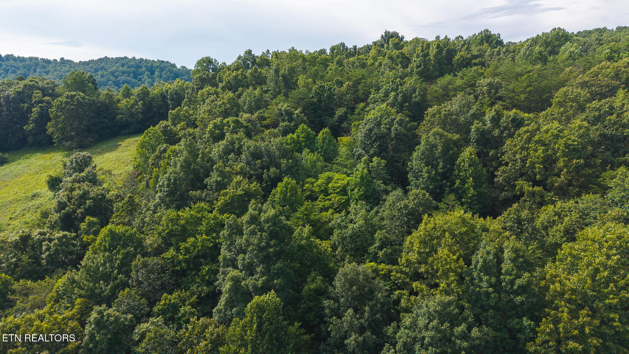 0 Gravely Valley Road Eidson, TN 37731 - Photo 2 of 36 DJI_20250716170954_0748_D