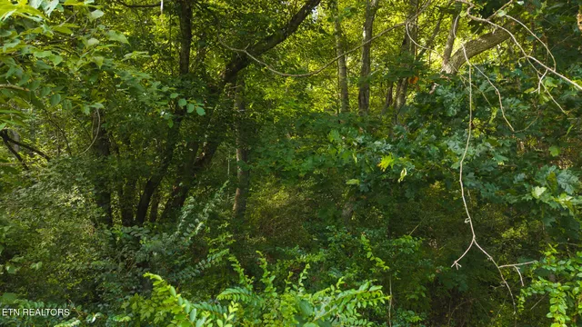 $99,900 | 0 Gravely Valley Road, Eidson, TN 37731