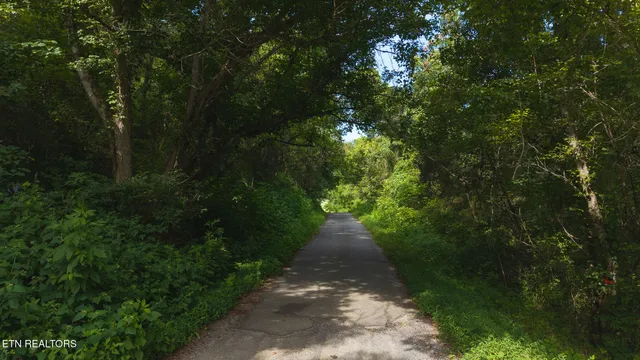 $99,900 | 0 Gravely Valley Road, Eidson, TN 37731