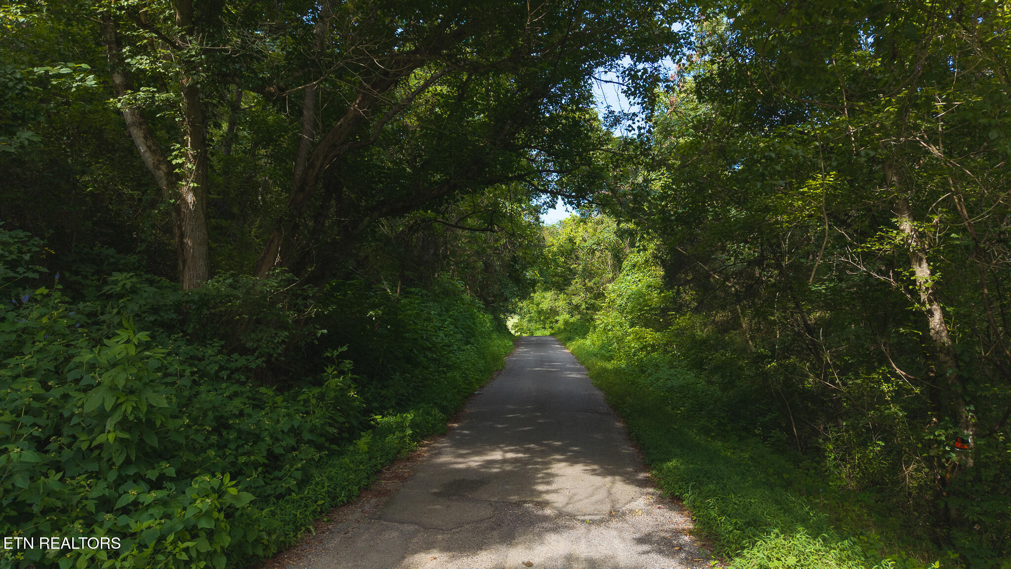 0 Gravely Valley Road Eidson, TN 37731 - Photo 23 of 36 DJI_20250716171712_0772_D