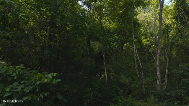 $99,900 | 0 Gravely Valley Road, Eidson, TN 37731