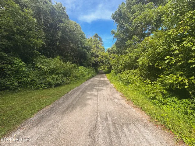 $99,900 | 0 Gravely Valley Road, Eidson, TN 37731