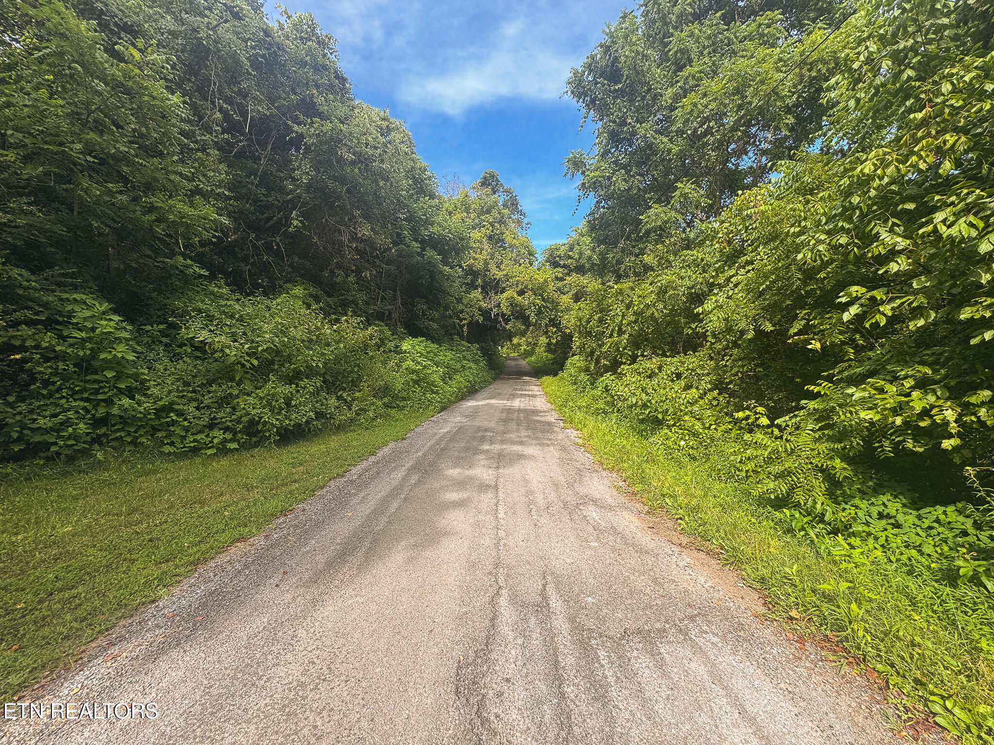 0 Gravely Valley Road Eidson, TN 37731 - Photo 26 of 36 IMG_9741