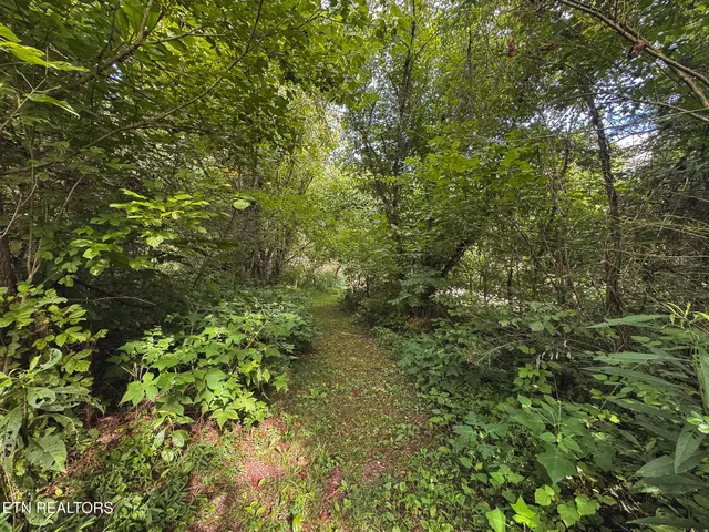 $99,900 | 0 Gravely Valley Road, Eidson, TN 37731